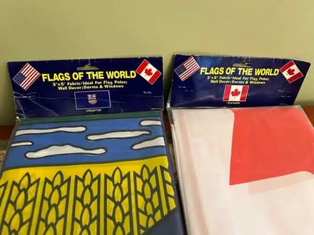 Photo of free 2- flags of the world (Wood Ridge) #1