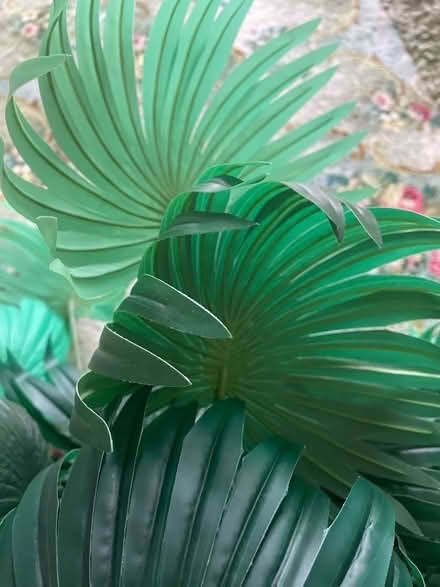 Photo of free Artificial out/in door palms (Clayton brook PR5 8) #2