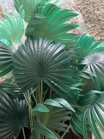 Photo of free Artificial out/in door palms (Clayton brook PR5 8) #3