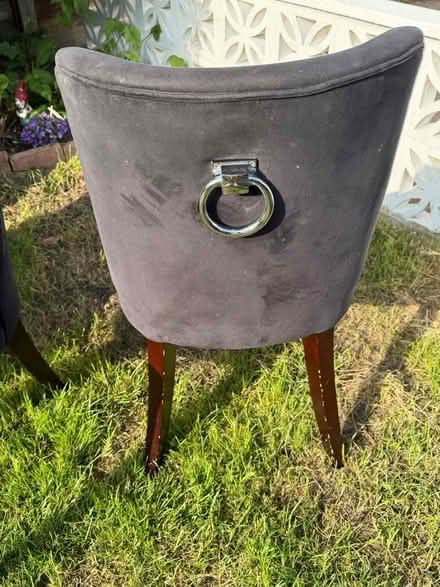 Photo of free Dining chairs (Croydon) #4