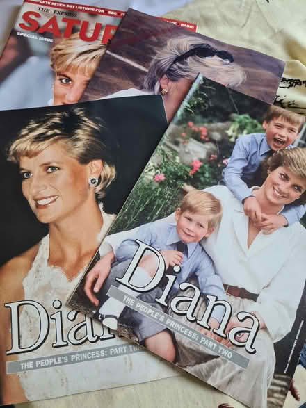 Photo of free Diana memorabilia (Bishop's Stortford CM23) #1