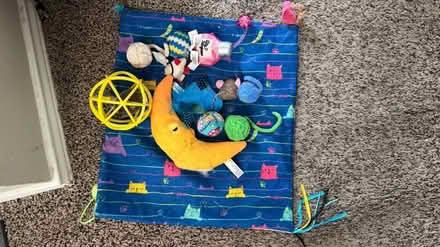 Photo of free Cat Toys (Boulder Ridge Apartments) #2