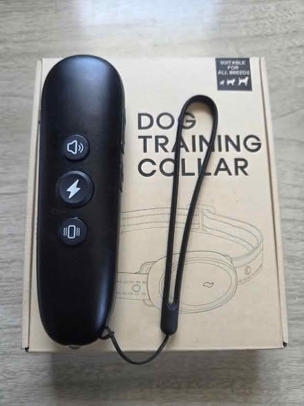 Photo of Dog Training Collar (Ashland and River Street) #2