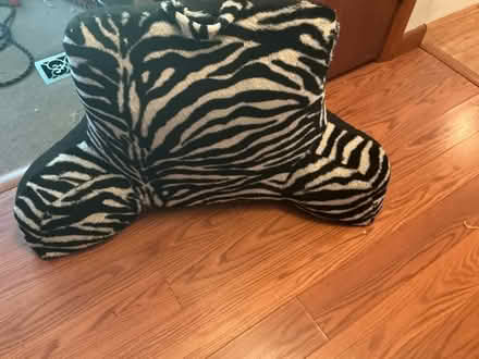 Photo of free Back rest (Taunton) #1