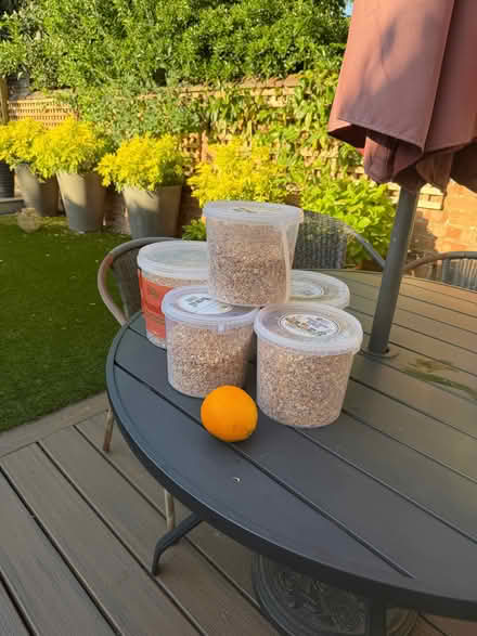 Photo of free 5 tubs of bird seed (De Parys MK40) #1