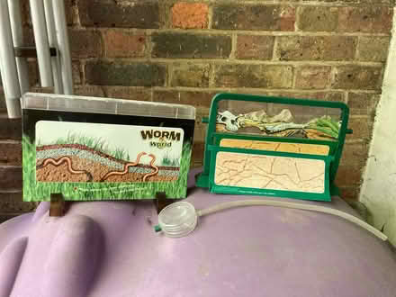 Photo of free Ant and worm world (Finchley N3) #1