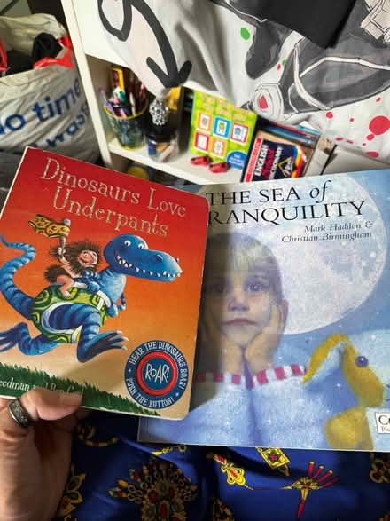 Photo of free Kids books (The Camp AL1) #1