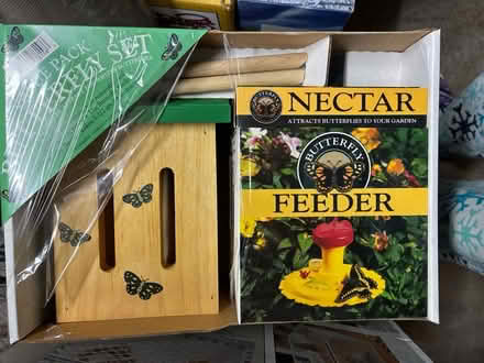 Photo of free Butterfly feeder (Rainier Valley/Brighton) #1