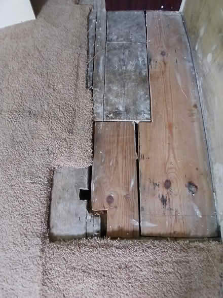 Photo of free Old Carpet (Ramsgate CT11) #3