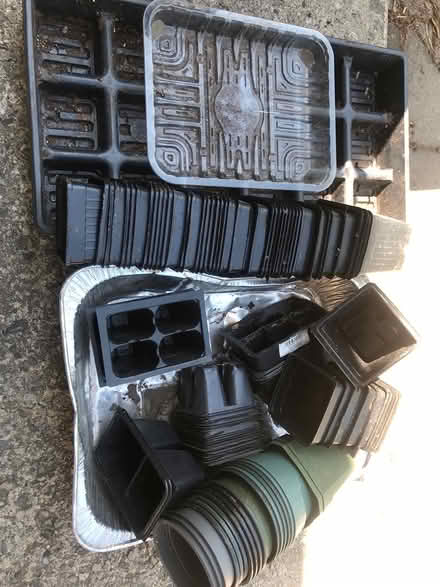 Photo of free Seedling trays and pots (Speedvale & Delhi) #1