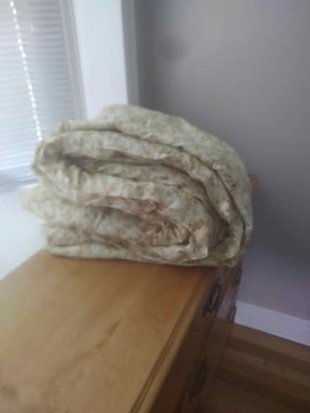 Photo of free Comforter (Fisher Heights) #1