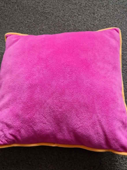Photo of free Cushion (Currie EH14) #1