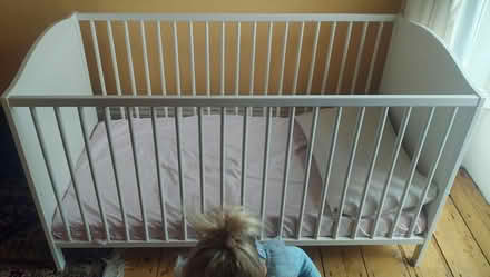 Photo of free child's cot (Bray Seafront) #2