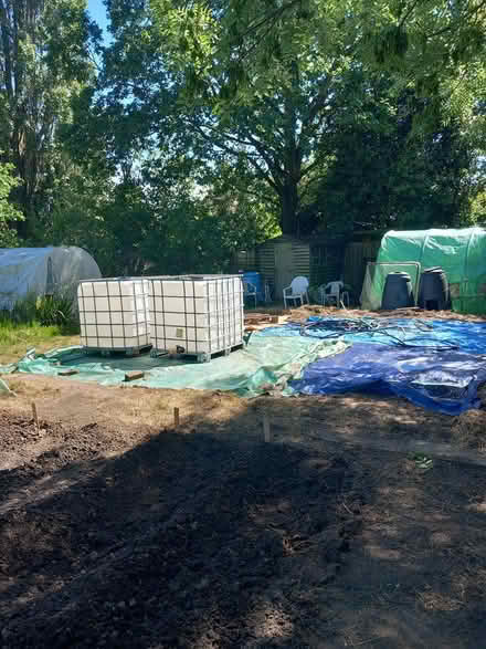 Photo of plastic pallets (Whoberley CV5) #1