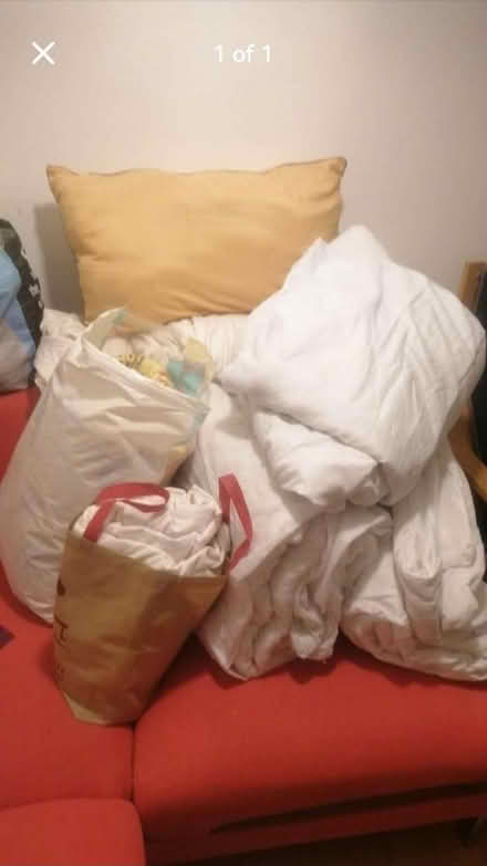 Photo of free Single duvets and pillow (Copeswood CV3) #1