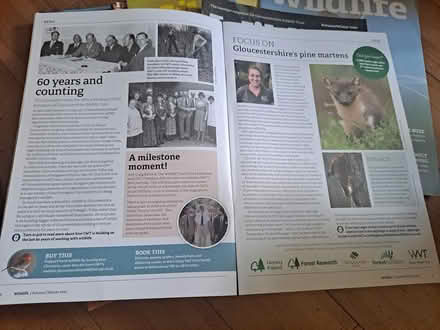 Photo of free Wildlife Magazines (Wollaton Park, NG8) #2