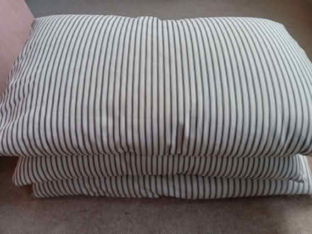 Photo of free 3 feather pillows (Brincliffe S11) #1