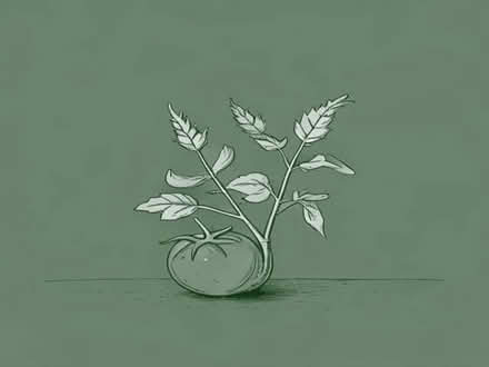 Photo of Runner bean plants (Littleover DE23) #1