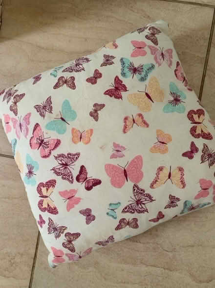 Photo of free Small butterfly cushion (Burgess Hill RH15) #1