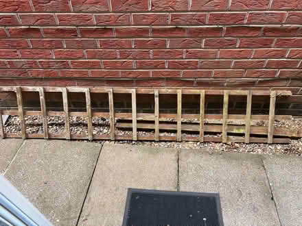 Photo of free Stone planter with trellis plant (Wigston Leicester LE18 4UL) #1