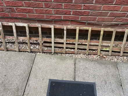 Photo of free Stone planter with trellis plant (Wigston Leicester LE18 4UL) #2