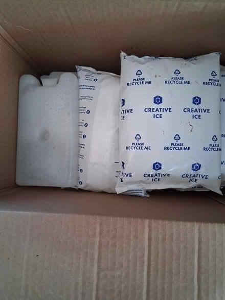 Photo of free Freezer blocks (Holt) #1