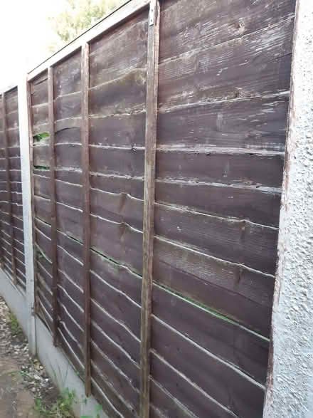 Photo of Fence panel (Amblecote DY8) #1