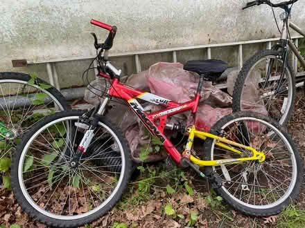 Photo of free Bicycle (Hopatcong) #1