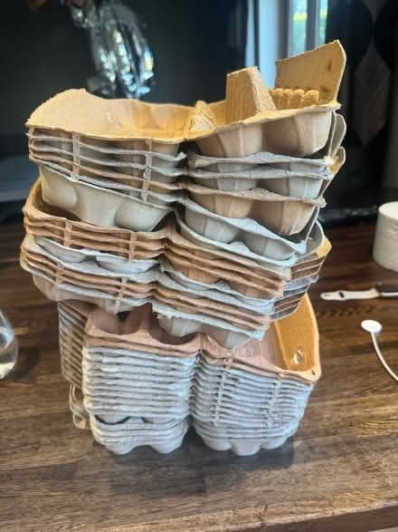 Photo of free A few 12 egg boxes (Howhlill Quarries HG2) #1