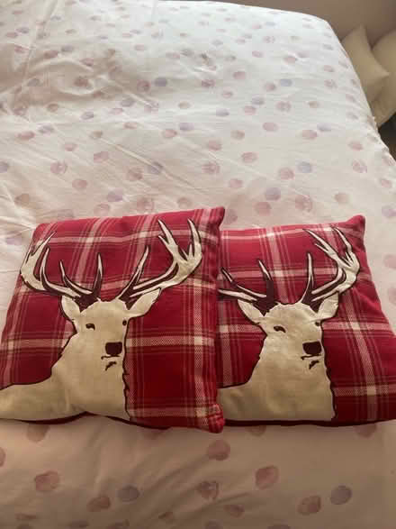 Photo of free Two stag cushions (Langley SL2) #1