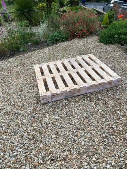Photo of free Wooden pallet (BH10) #1
