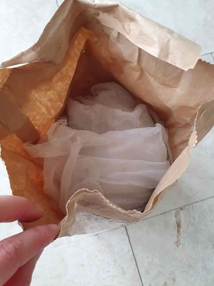 Photo of free Plant netting (Bramley LS13) #3