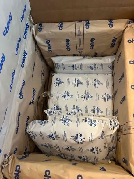 Photo of free Ice packs (SW Durham) #1