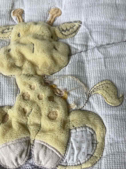 Photo of free Baby's Blanket (Dublin) #2
