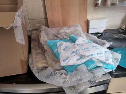 Photo of free 8 reusable freezer bags plus 2 wool insulating panels. (Wigmore HR6) #1