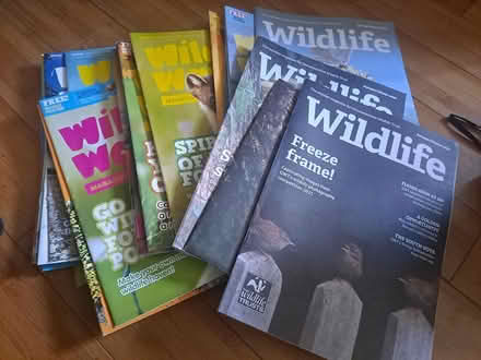Photo of free Wildlife Magazines (Wollaton Park, NG8) #1