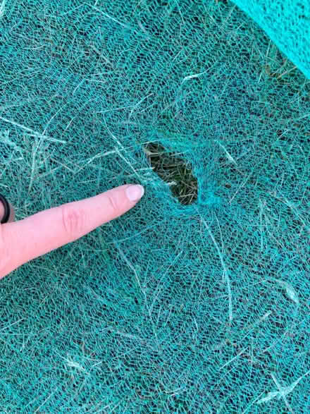 Photo of free Horticultural netting 1 (North wootton) #2