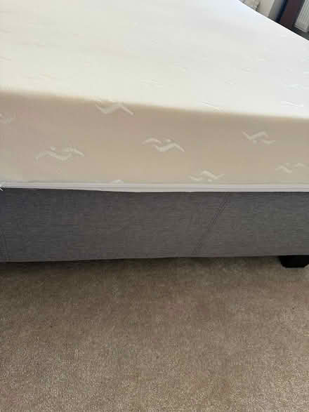 Photo of free Mattress only- Standard Double (Upper Stondon SG16) #4