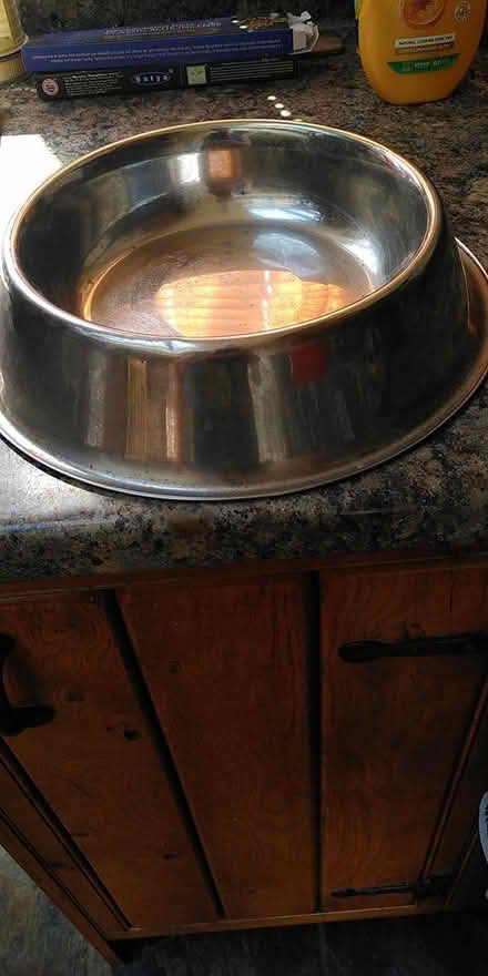 Photo of free large dog bowl (New Street, Ludlow) #1