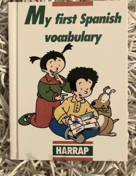 Photo of free Children's vocab. Spanish French (Pinkneys Green SL6) #2