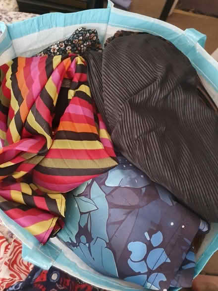Photo of free Plus size women's clothes (Beckton E6) #1