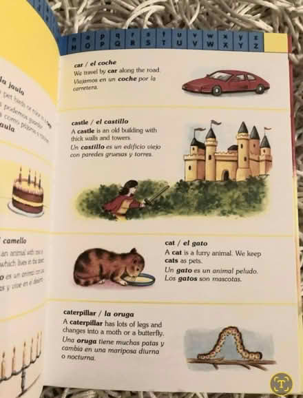 Photo of free Children's vocab. Spanish French (Pinkneys Green SL6) #4