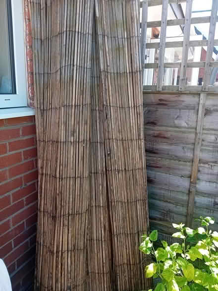 Photo of free Tall 6ft., bamboo fence covering (Penwortham PR1) #2