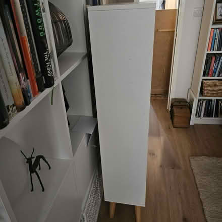 Photo of free Tall shoe cabinet (NW5 Kentish Town) #3