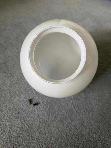 Photo of free Globe for light fixture (Quincy and S Simms) #2