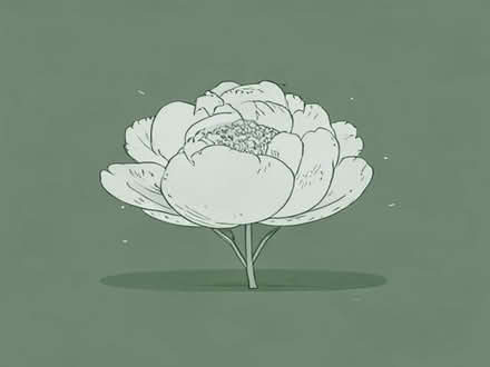 Photo of free Pink peony tubers (Oldends Farm GL10) #1
