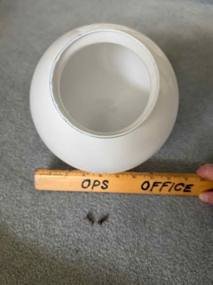 Photo of free Globe for light fixture (Quincy and S Simms) #4