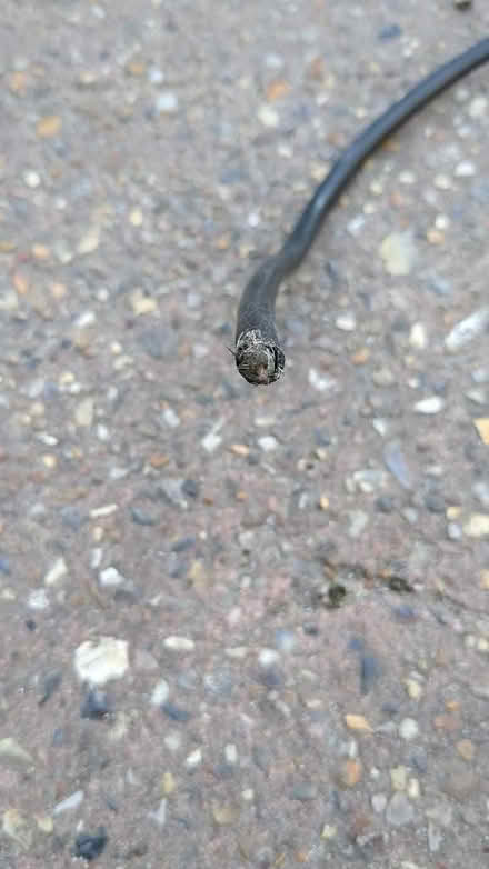 Photo of free Aerial cable (Great Yarmouth NR30) #2