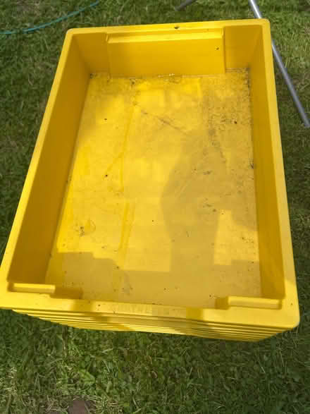 Photo of free 8 trays great for plant potting (CH61) #1