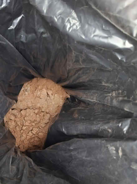 Photo of free Sand in bags (Kings Heath B14) #3